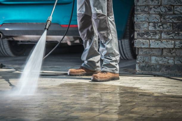 Best Gutter Cleaning  in Lockney, TX