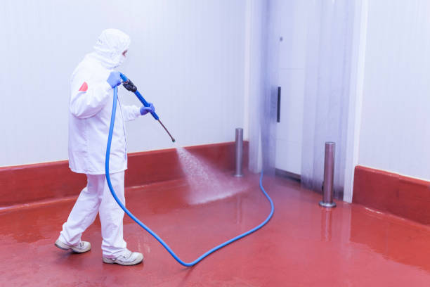 Best Dumpster Area Cleaning  in Lockney, TX
